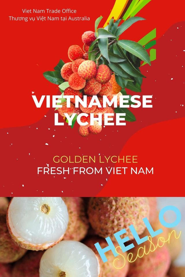 100 tấn vải thiều chuẩn bị sang thị trường Úc