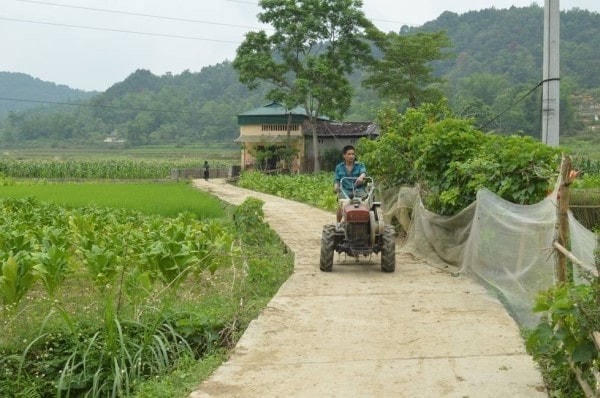 Nhiều tuyến đường nông thôn huyện Hà Quảng được bê tông hóa.