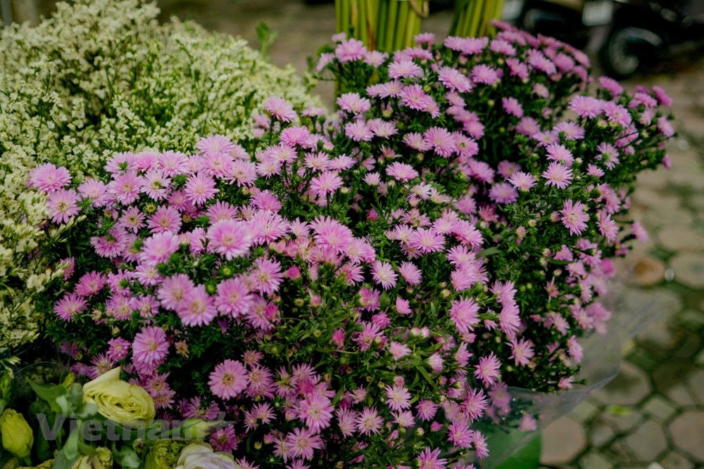 Những chùm hoa thạch thảo 'chinh phục' mọi ánh nhìn bởi sắc tím nồng nàn mà thi vị như một gia vị của tình yêu bình dị và êm đềm. (Ảnh: Minh Hiếu/Vietnam+).