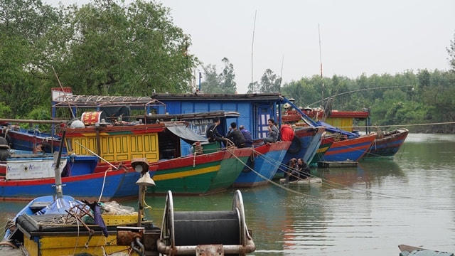 Phút nghỉ ngơi trước khi bão đổ bộ…