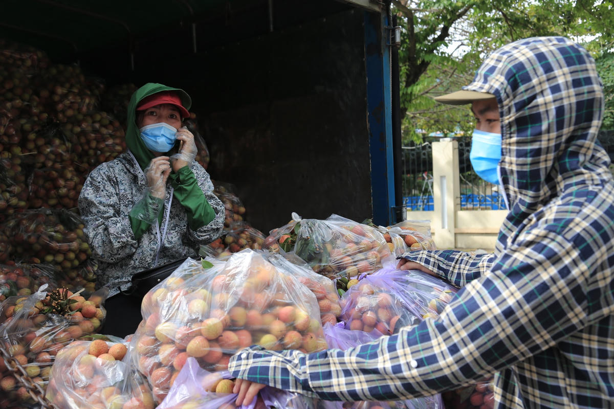 Chị Nghiêm Thị Thanh Thủy (41 tuổi, quê ở Bắc Giang), trưởng nhóm thiện nguyện, cho biết do tình hình dịch ở  Bắc Giang diễn biến phức tạp nên đã tổ chức hoạt động này góp phần giúp nông dân tiêu thụ nông sản.