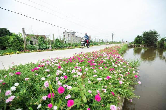 Hưng Yên: 100% số xã đạt chuẩn nông thôn mới