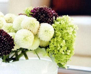 15 mẹo vặt khử mùi hôi trong nhà cực đơn giản