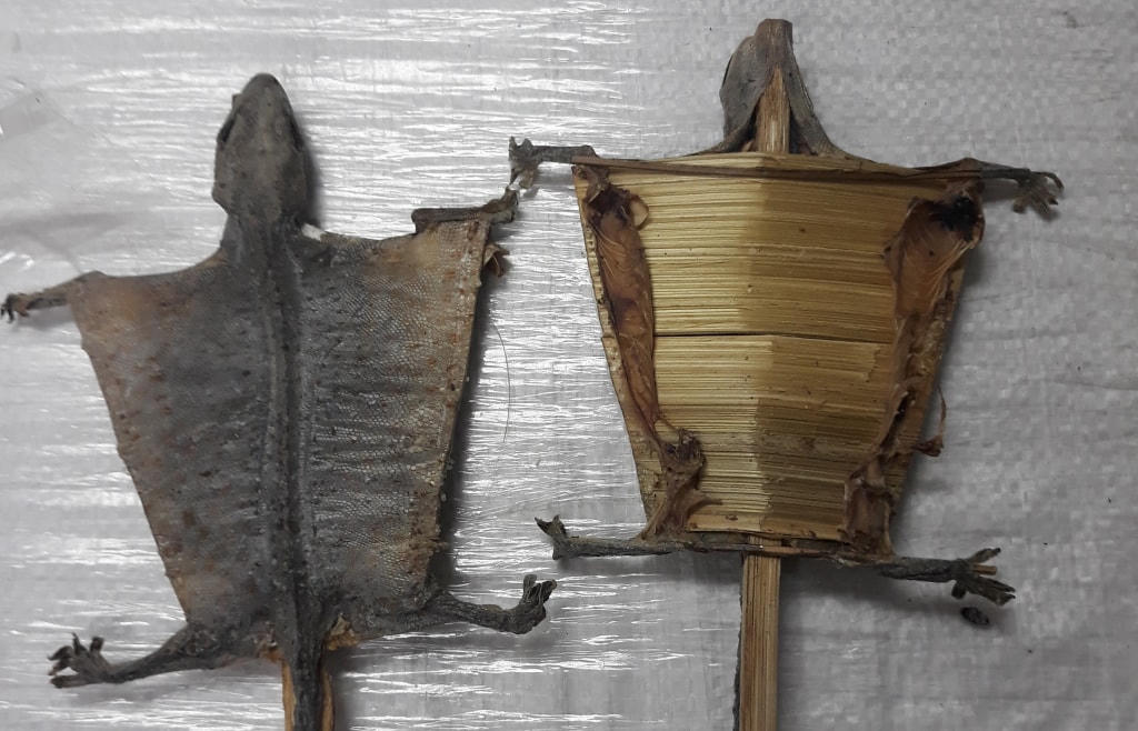 2 kiện hàng về sân bay quốc tế Nội Bài ngày 24/6/2021, tuy nhiên người nhận hàng trên vận đơn đã được cơ quan Hải quan liên hệ nhiều lần nhưng chưa đến để làm thủ tục hải quan.