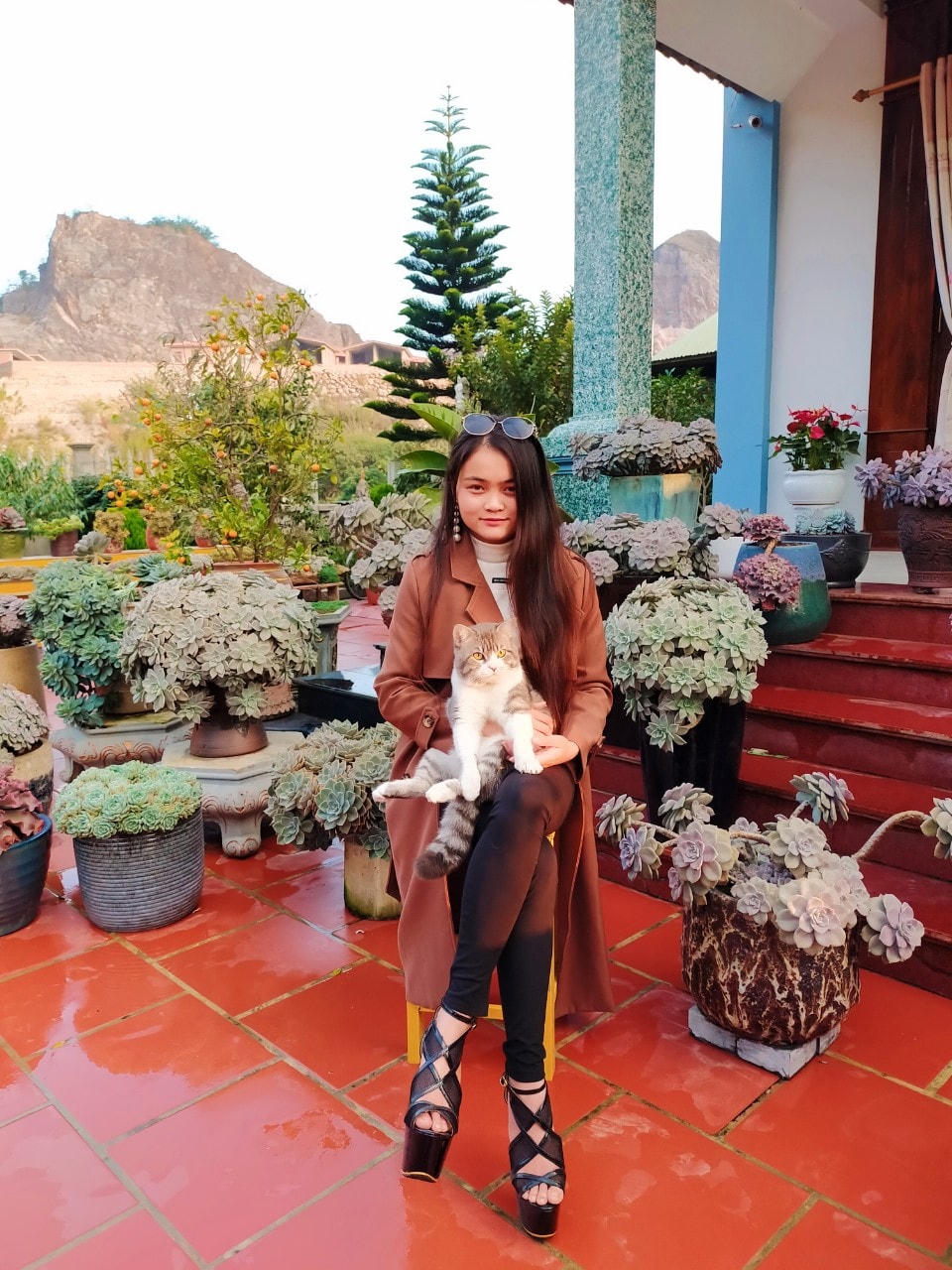 Trần Thị Hằng dành khoảng sân trước nhà để chăm sóc bộ sưu tập 1.000 cây sen đá của mình. Ảnh: NVCC. 