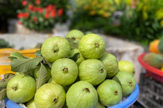 Không ăn quá nhiều trái cây chứa nhiều chất chát như ổi, xoài, hồng..., không ăn lúc đói.