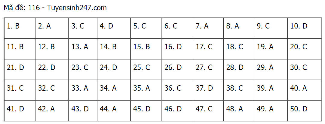 Đáp án (tham khảo) môn Toán thi tốt nghiệp THPT 2021 mã đề 116.