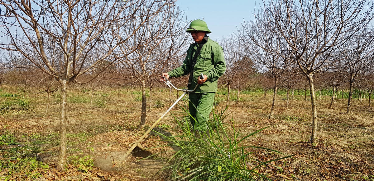 Dù đã có nền móng khá vững chắc trong xây dựng nông thôn mới nhưng để hoàn thành xây dựng nông thôn mới nâng cao, Vân Sơn đang gặp nhiều khó khăn.