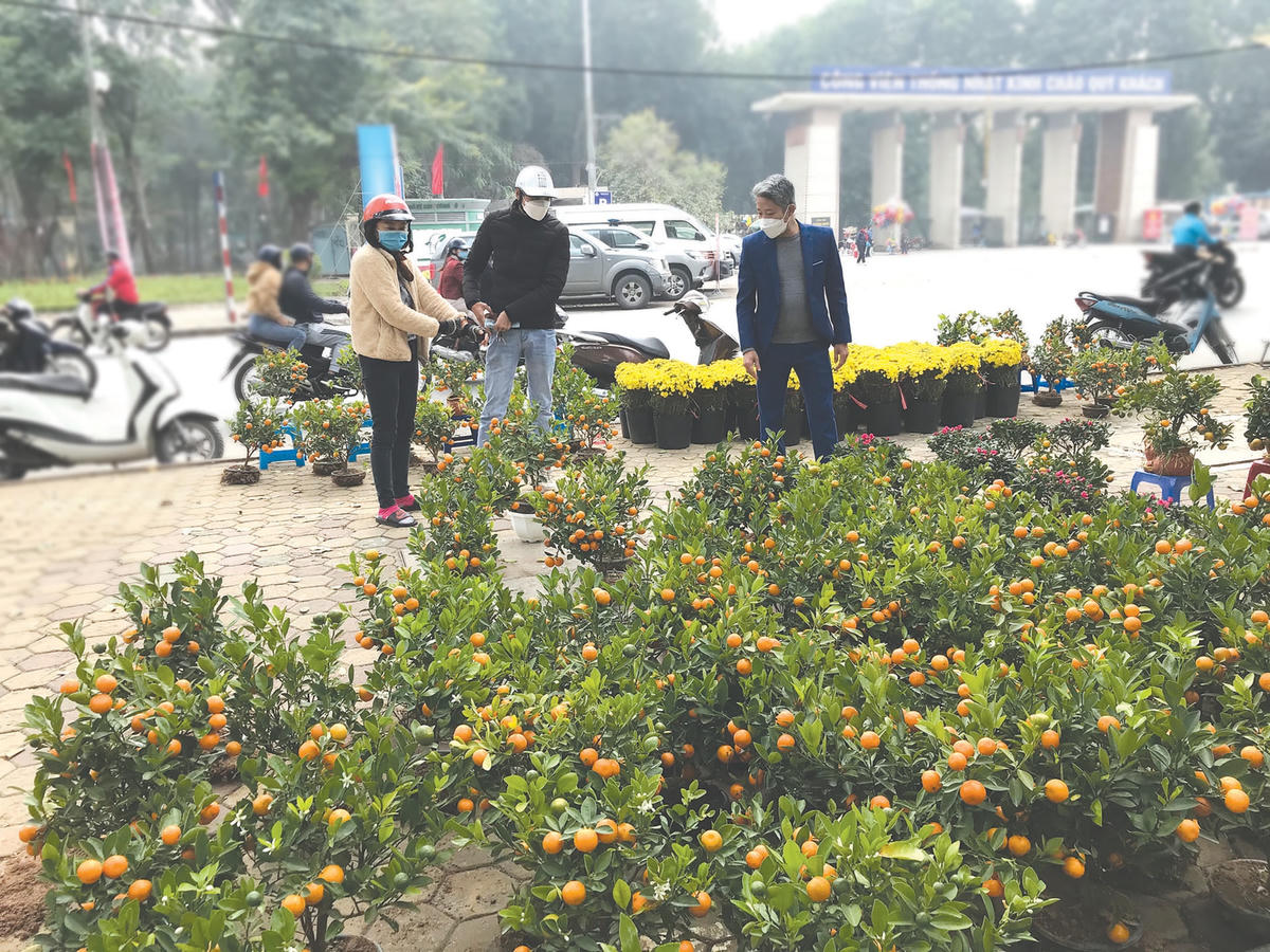 Hàng bán quất và hoa Tết ven hồ Thiền Quang lác đác người đến mua.  