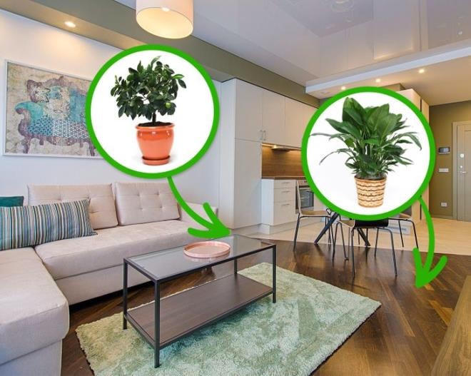 15 mẹo vặt khử mùi hôi trong nhà cực đơn giản