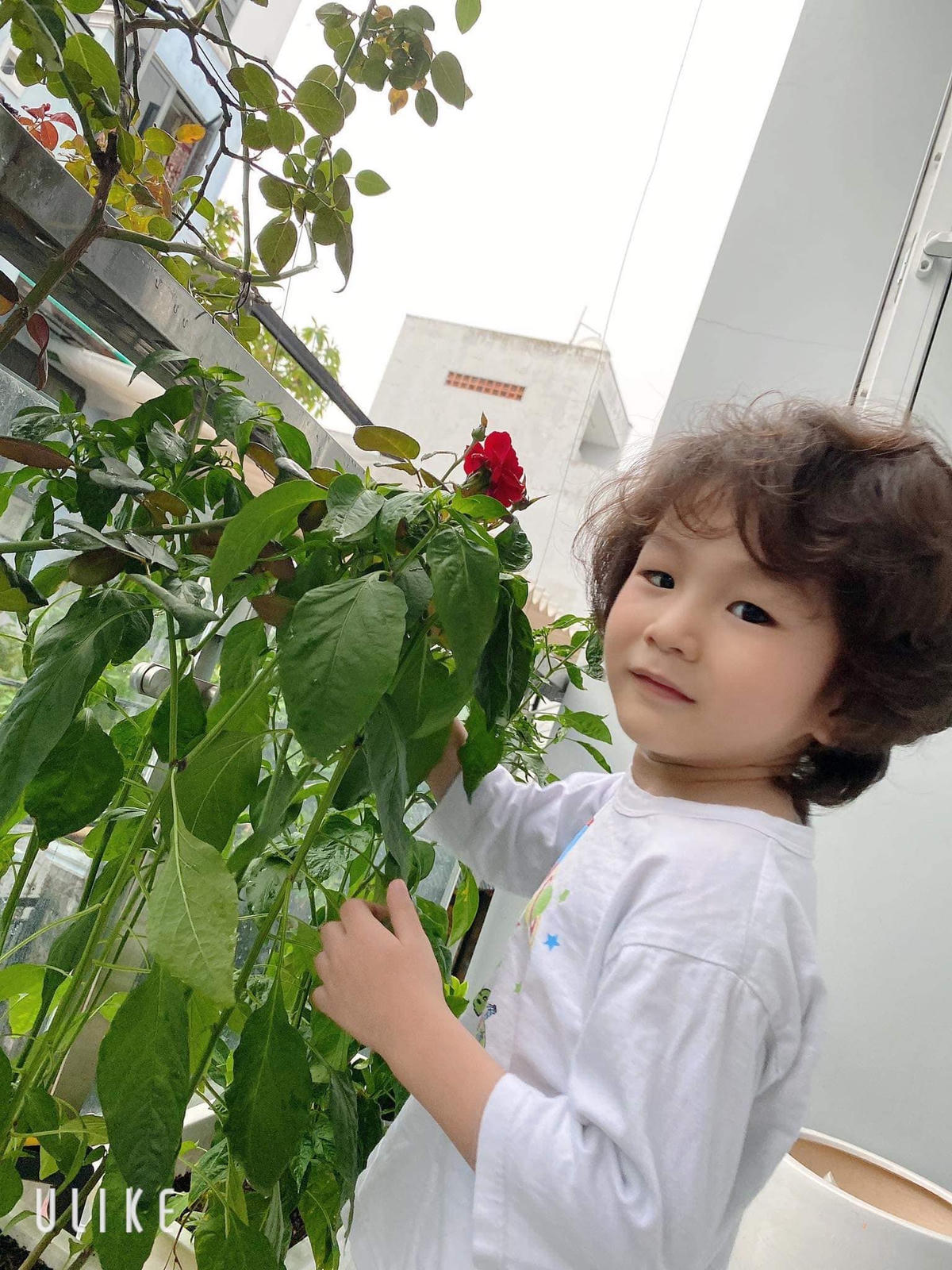 Bé Thiên Long -con chung của Phi Hùng và Khánh Chi. 