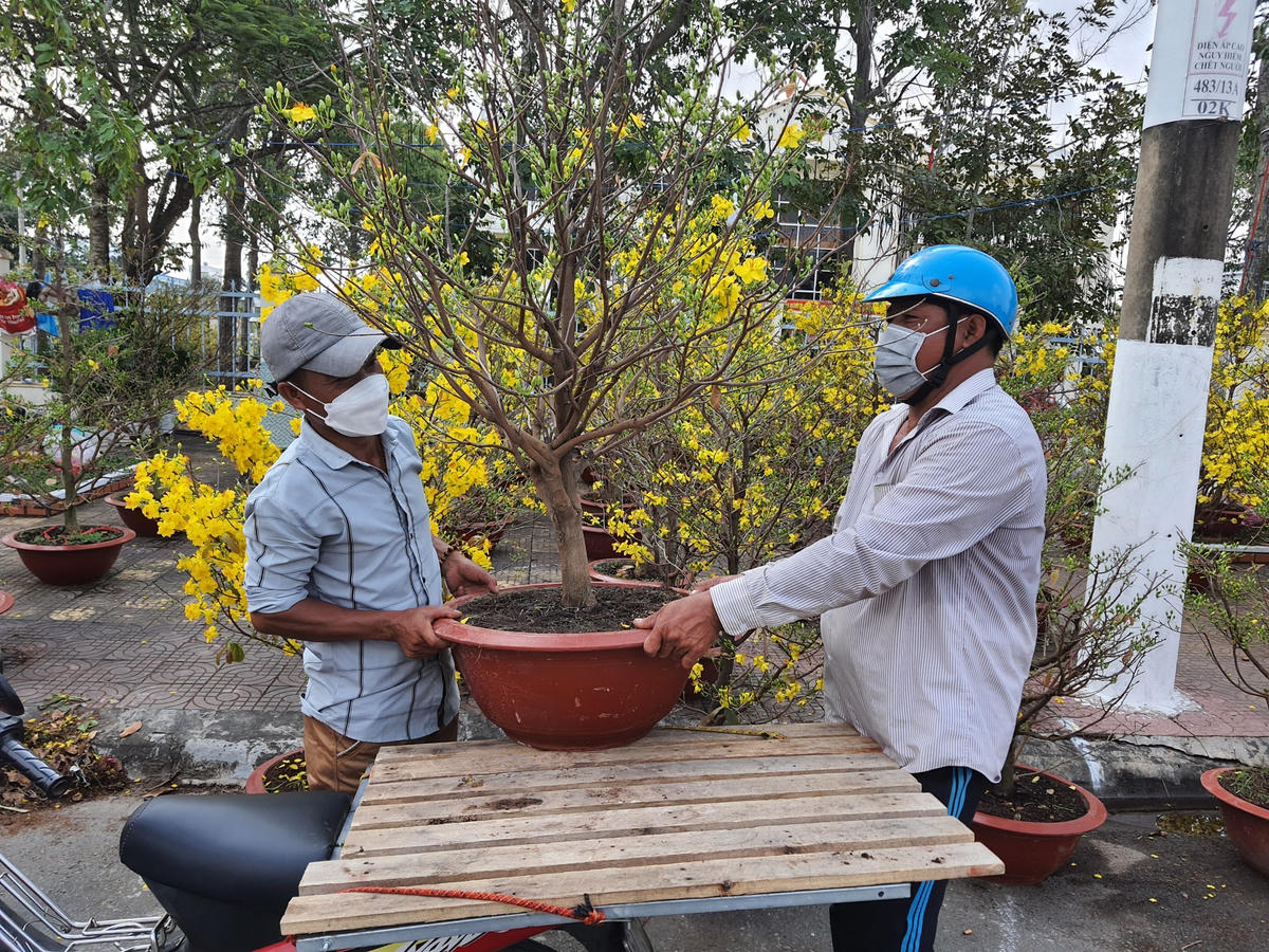 Nhu cầu chở cây cảnh cao vào những ngày Tết đã giúp người lao động có thêm thu nhập.
