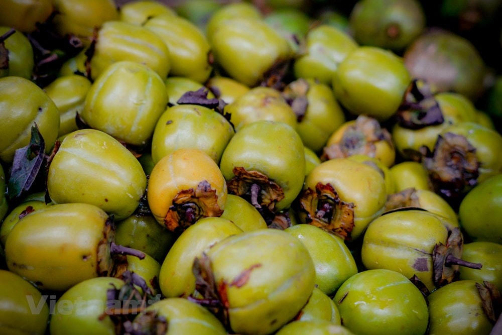 Đối với người Hà thành hồng giòn vẫn là thức quả được ưa chuộng nhất khi tiết trời vào Thu bởi hương vị đặc trưng rất riêng. (Ảnh: Minh Hiếu/Vietnam+).