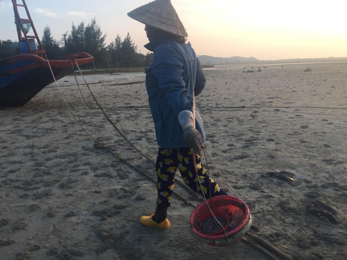 Trở về sau một buổi đào sá sùng.