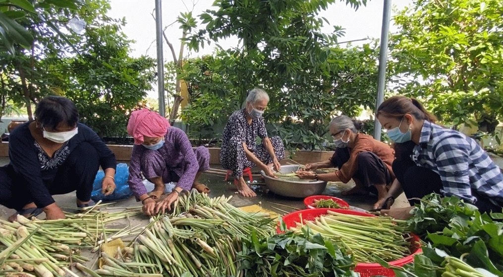 Người dân Thủ Thừa (Long An) chuẩn bị rau củ quả tặng thành phố.