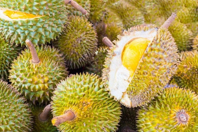 Sầu riêng là loại quả phổ biến tại Đông Nam Á. (Ảnh: ABC).  