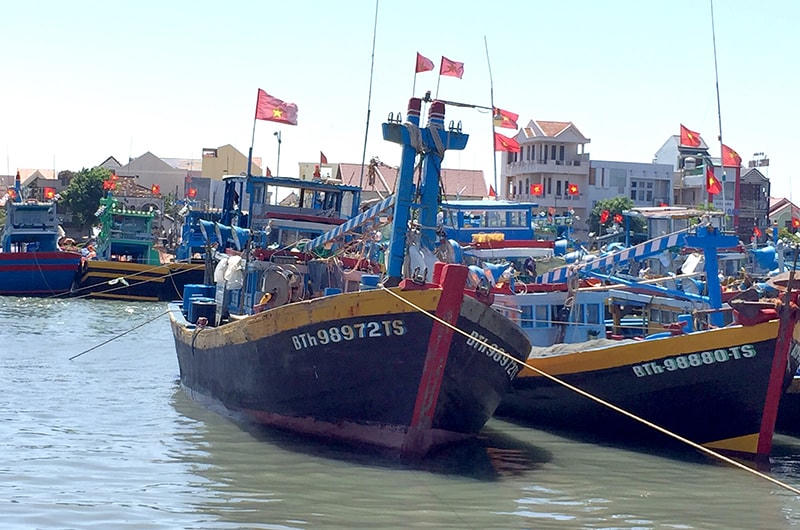 Tàu cá tại tỉnh BìnhThuận.