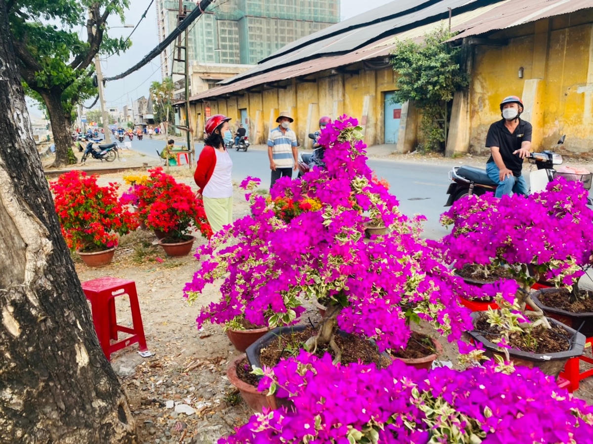 Người mua lác đác, ít hơn rất nhiều so với mấy năm trước.