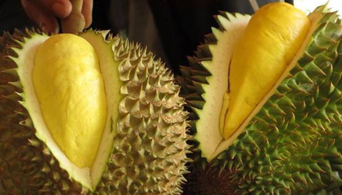 Sầu riêng RI6 Trà Vinh là một trong những sản phẩm có mặt trên sàn Sendo.