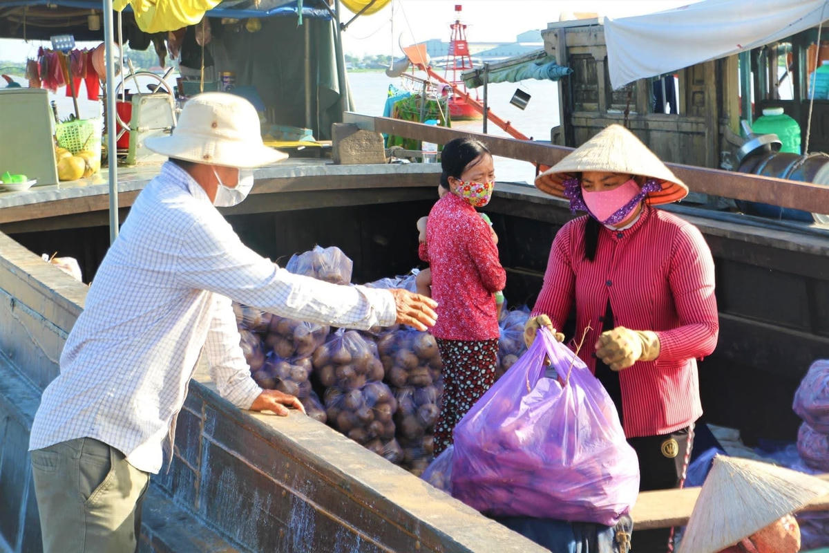 Những chuyến hàng vội vã.