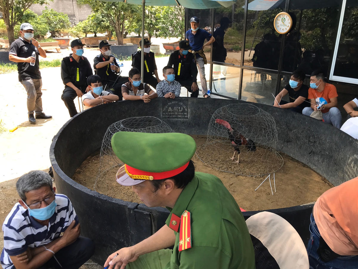 Lực lượng chức năng đang tiến hành lập biên bản các đối tượng đánh bạc dưới hình thức đá gà.