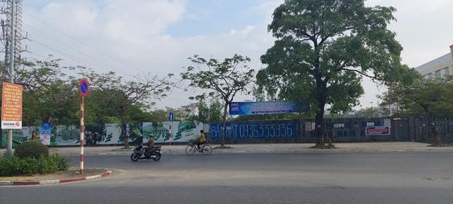 Khu “đất vàng” bị bỏ hoang hơn 13 năm qua sẽ được UBND quận Hải An cưỡng chế, thu hồi theo quy định.