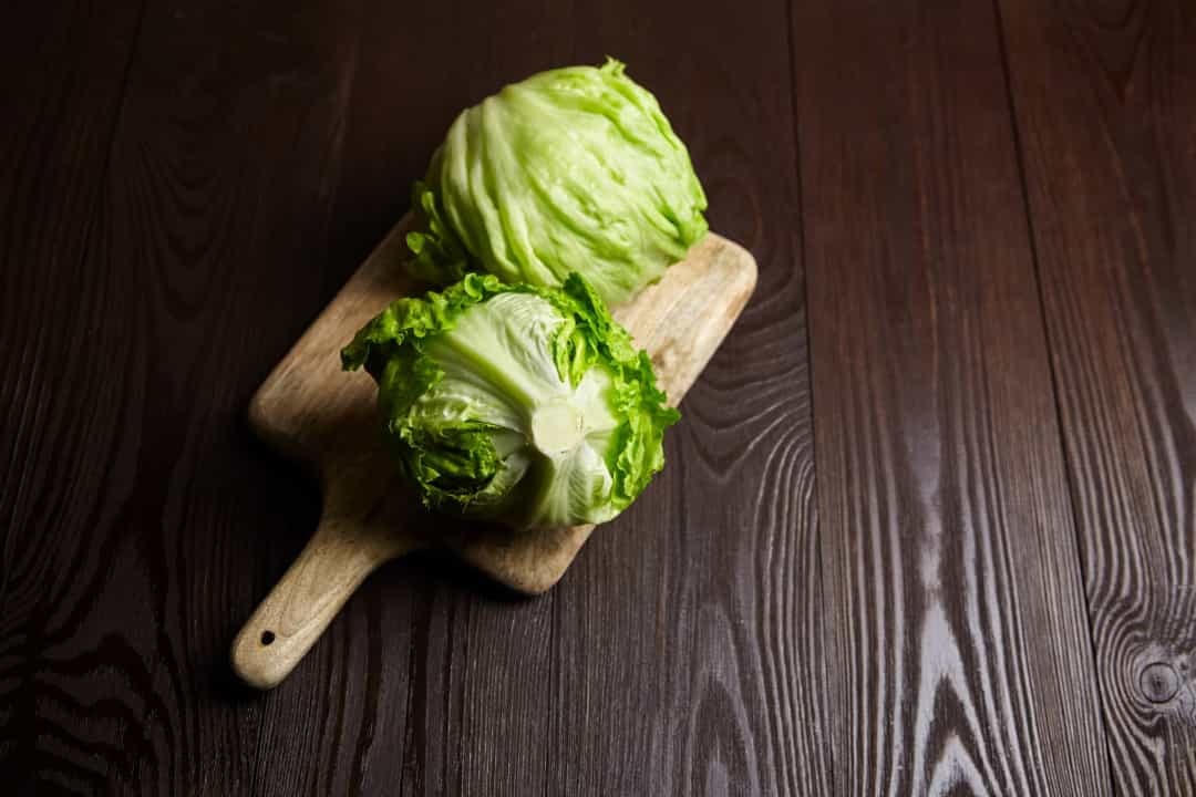 Rau diếp rất ít calo do nó chủ yếu là nước. Một chén rau diếp 70g chỉ có khoảng 10 calo.  