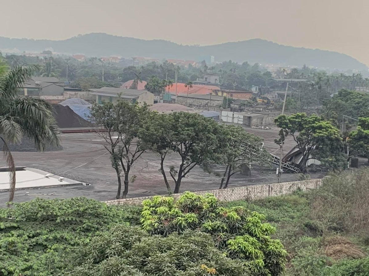 Hải Dương: Tịch thu hàng nghìn tấn than lậu trị giá hơn 8 tỷ đồng