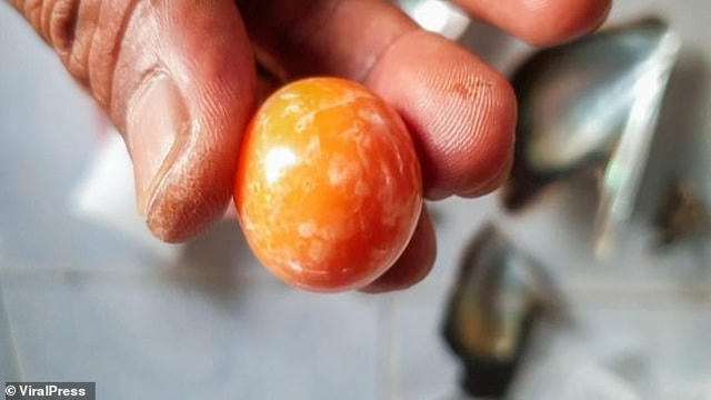 Viên ngọc trai melo cỡ lớn được người ngư dân Thái Lan vô tình tìm thấy trên bãi biển.
