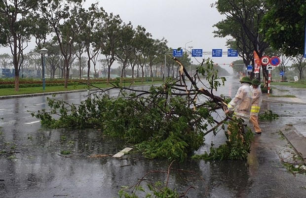 Cảnh sát giao thông Đà Nẵng dọn dẹp cây xanh gãy đổ trên các tuyến đường để đảm bảo giao thông. (Ảnh: TTXVN phát).
