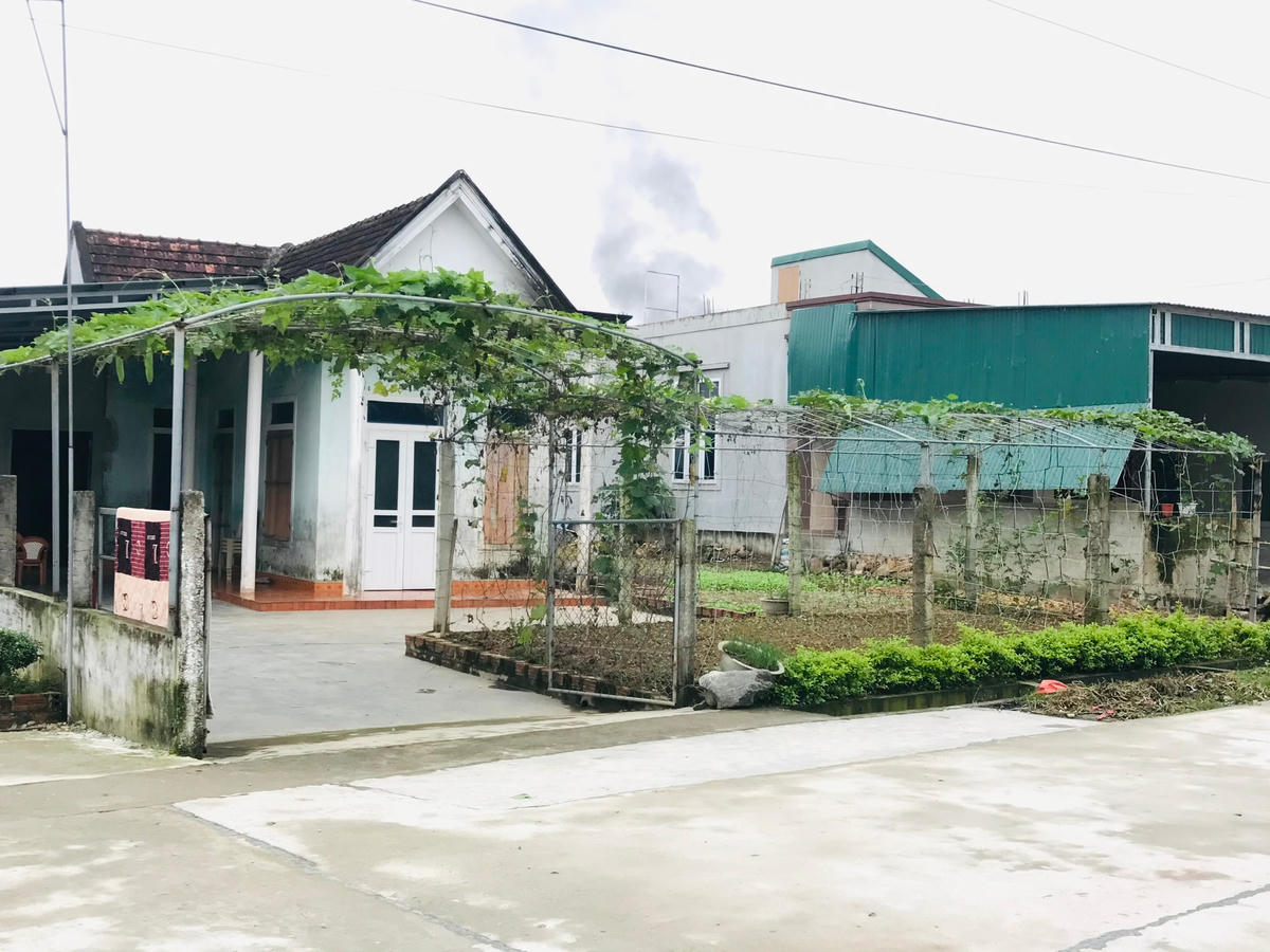 Một vườn mẫu của người dân xã Cẩm Hà.