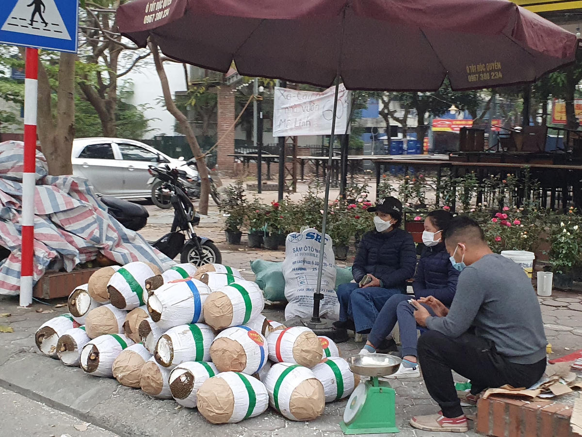 Nhiều tuần trước đó, hàng nông sản từ miền Tây trung chuyển đến Lạng Sơn để xuất khẩu sang Trung Quốc chủ yếu là mít Thái và thanh long bị ùn ứ do dịch Covid-19 đã gây ảnh hưởng rất lớn đến người dân, bởi đây là những nông sản được trồng theo mùa vụ, dễ bị hư hỏng.