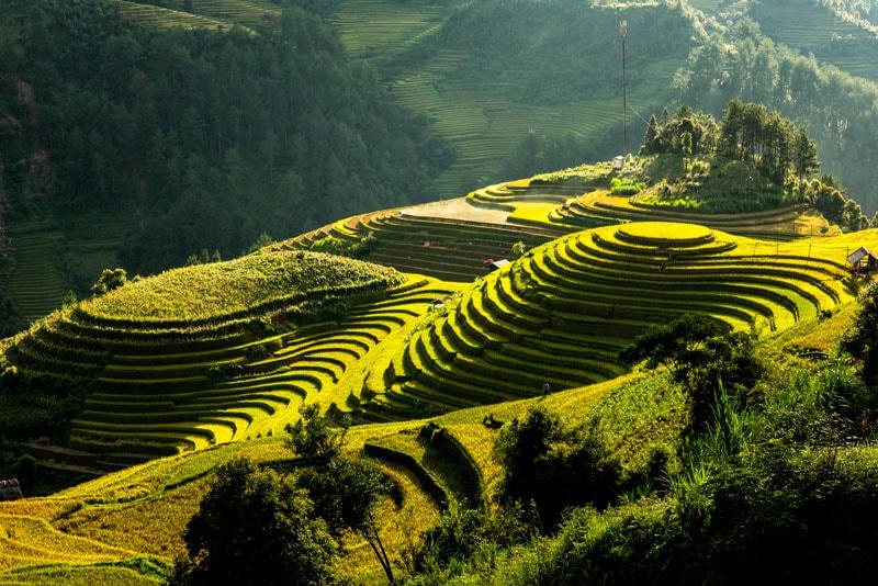 Năm 2007 ruộng bậc thang ở 3 xã La Pán Tẩn, Dế Xu Phình, Chế Cu Nha được Nhà nước công nhận là Danh thắng quốc gia. Không chỉ vậy Mù Cang Chải còn vào Top 10 ruộng bậc thang đẹp nhất thế giới.