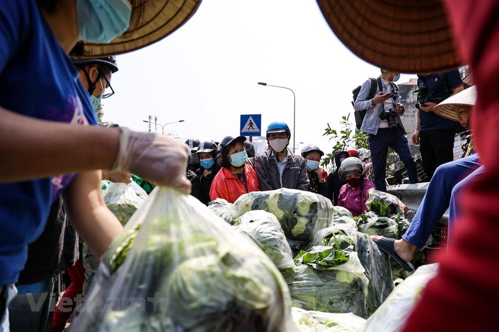 Chỉ trong khoảng 30 phút, hàng trăm cân bắp cải, su hào đã được bán hết. (Ảnh: Minh Sơn/Vietnam+)..