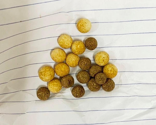 Người dân không được sử dụng thuốc nam điều trị bệnh đái tháo đường không rõ nguồn gốc. Hình ảnh thuốc của ông P. mua qua truyền miệng được người nhà gửi bác sĩ kiểm tra.