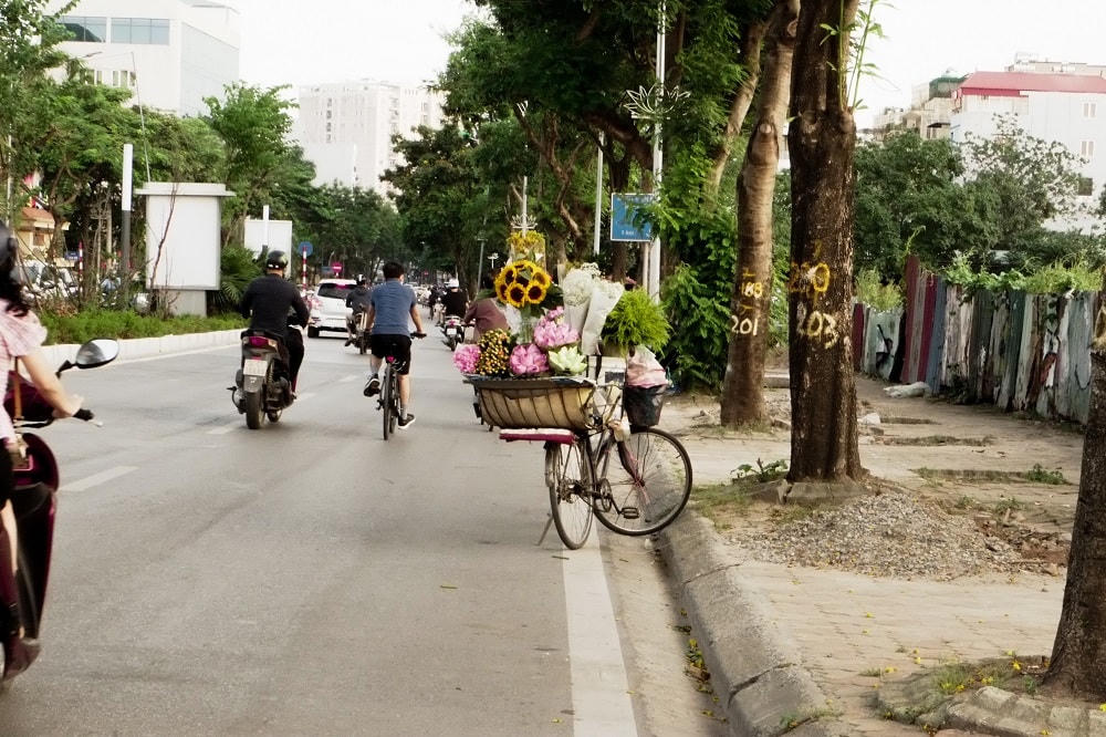 Hà Nội rực rỡ sắc hoa mùa hạ