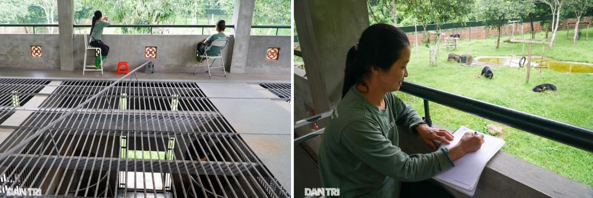 Những ‘bóng hồng’ thầm lặng ít người biết ở thung lũng gấu Chắt Dậu