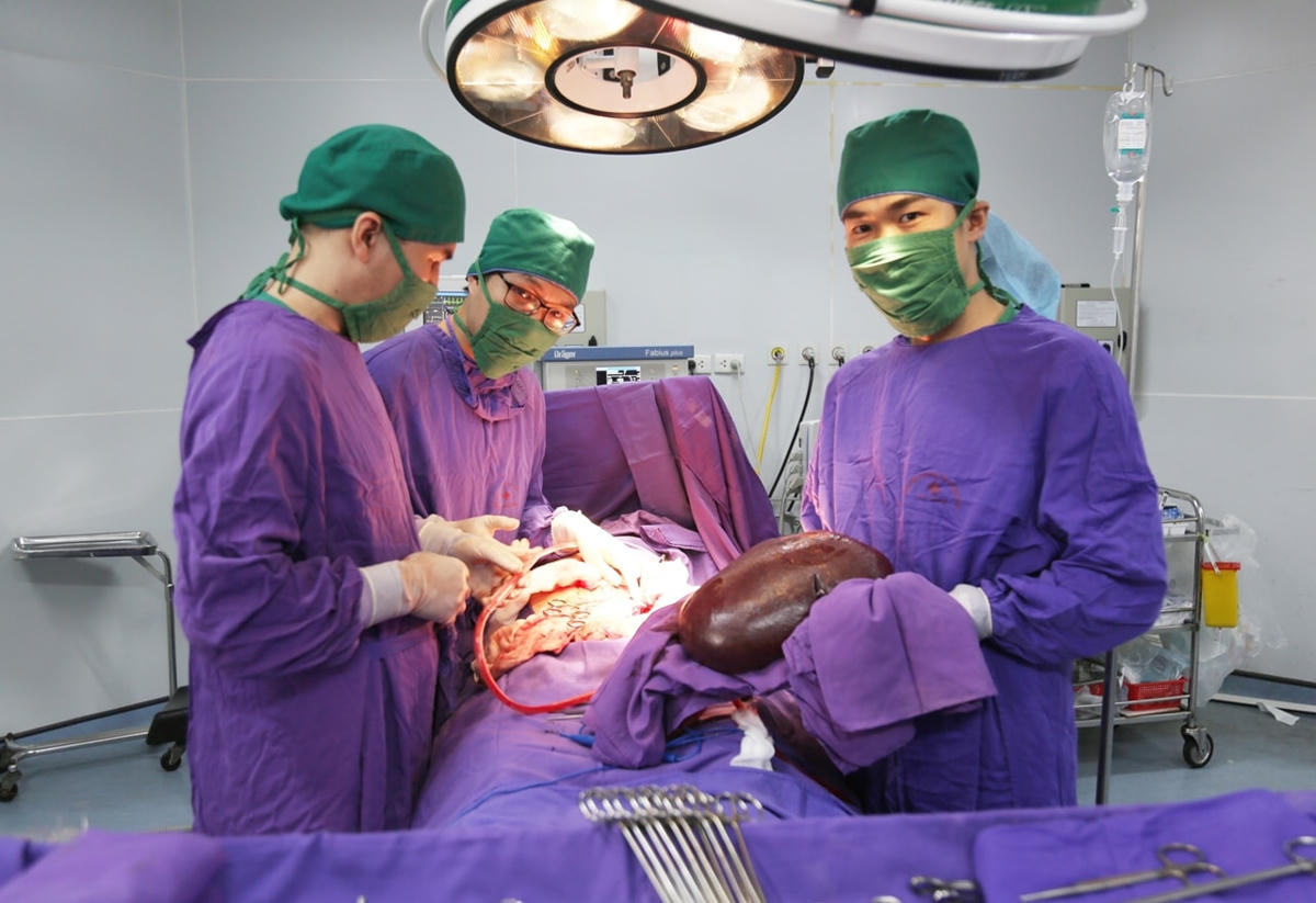 Lá lách được lấy ra khỏi bụng bệnh nhân.