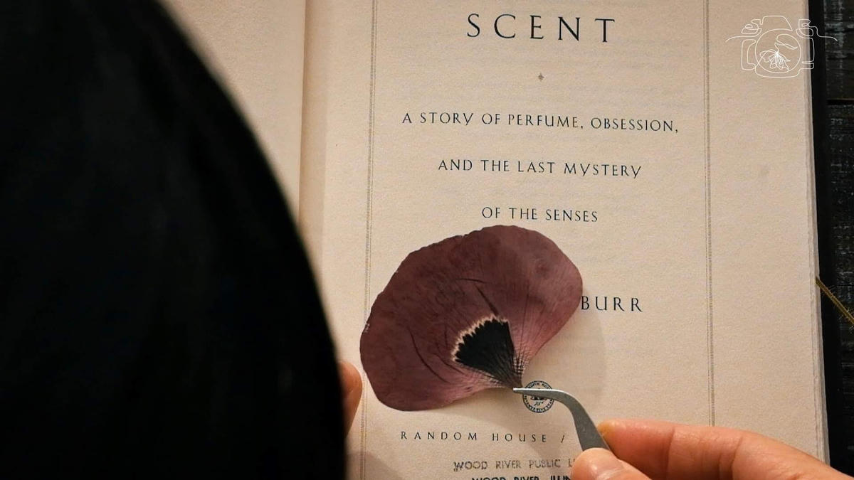 Chị Tâm thường ép những cách hoa trên những trang sách. 