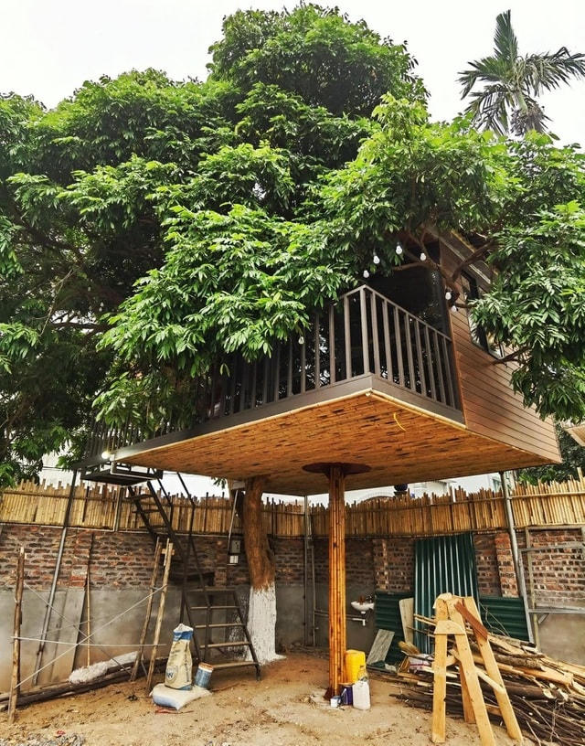 Trên mảnh đất rộng rãi, tận dụng cây nhãn đẹp và chắc chắn ở góc vườn, anh Tú lên ý tưởng triển khai, thiết kế, tạo kết cấu cho căn nhà.  