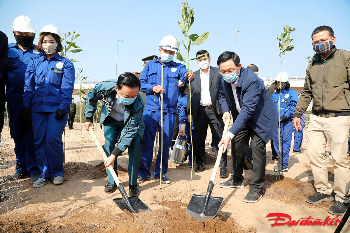 Ông Vương Đình Huệ, Uỷ viên Bộ Chính trị, Bí thư Thành uỷ TP Hà Nội  trồng cây trong buổi lễ.