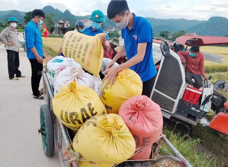 Gặt lúa giúp người dân ở khu vực phong tỏa yên tâm thực hiện cách ly xã hội.