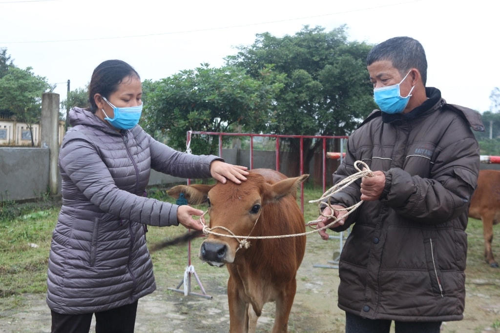 Có sinh kế, vợ chồng chị Dương Thị Cẩm sẽ cố gắng chắm sóc, sớm thoát nghèo.