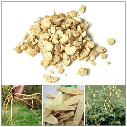 Vị thuốc hoàng kỳ trong bài thuốc dưỡng tâm an thần.