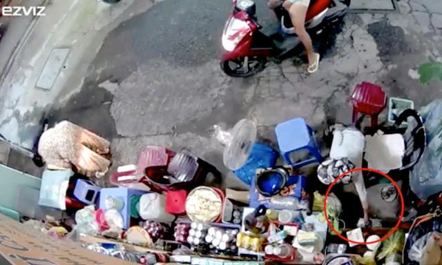 Bé trai lấy túi đựng tiền và thẻ cào điện thoại của bà Mai. Ảnh cắt từ clip.