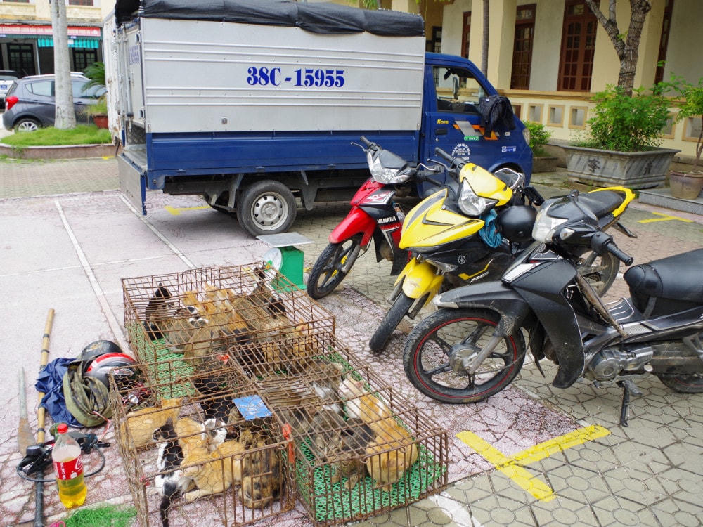 Tang vật vụ án.