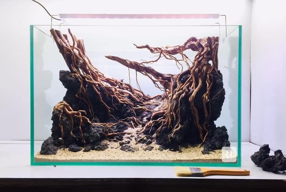 Khung cảnh thiên nhiên hoang dã nằm gọn trong bể thủy sinh. Ảnh: NVCC. 
