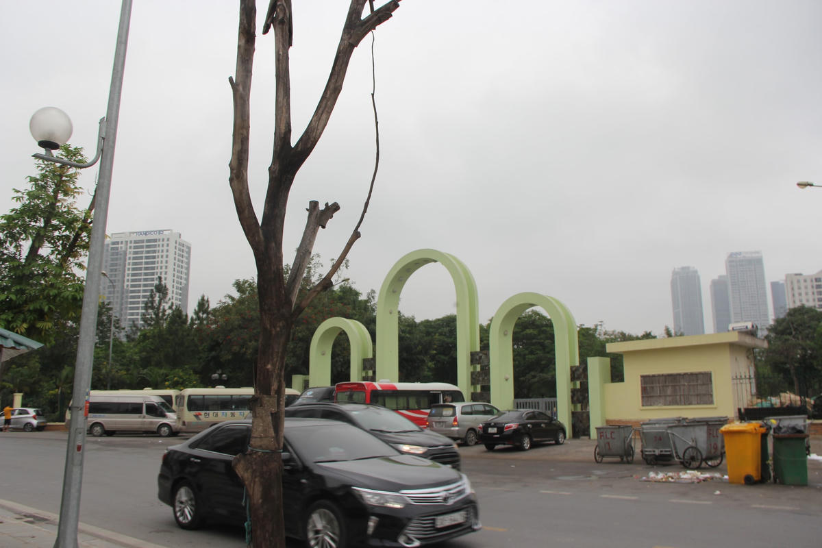 Anh Vũ Văn Thành một người dân sinh sống ở phường Dịch Vọng Hậu cho biết: "Tôi thường xuyên ra Công viên Cầu Giấy để chạy bộ, thấy hàng cây sấu hai bên đường chết khô mà thấy xót xa, nuối tiếc. Vì cách đây mấy năm khi mới trồng cây cũng có mầm có lá, chắc do không được tưới nước chăm sóc nên cây chết khô dần".