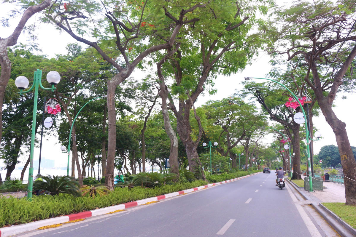 Ít người qua lại, đường Thanh Niên trở nên vô cùng vắng vẻ.  