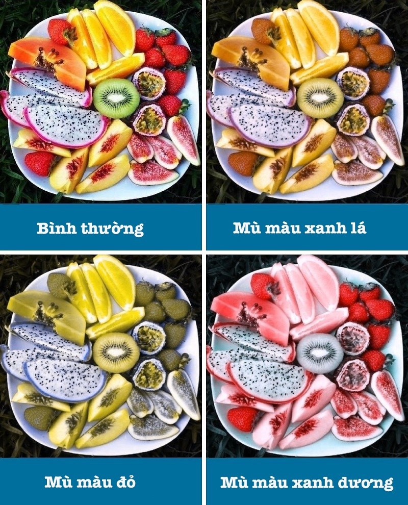 Cách phòng bệnh và chăm sóc đôi mắt